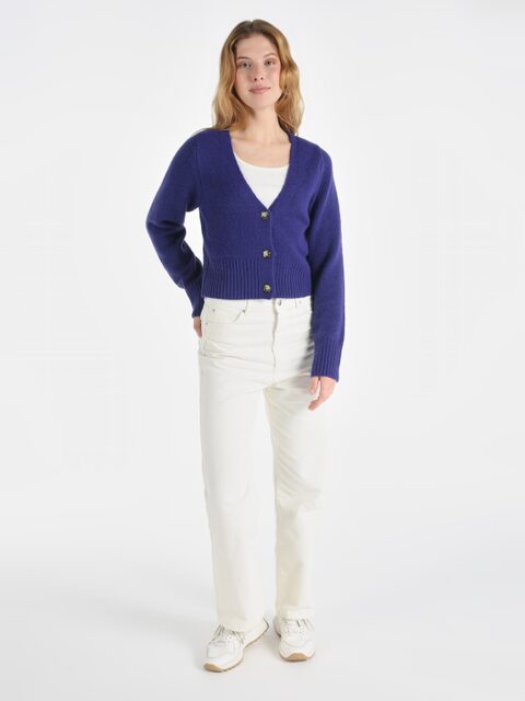 Colin's Cardigan 1065260