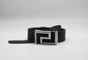F. M. BELT RAN23-00003