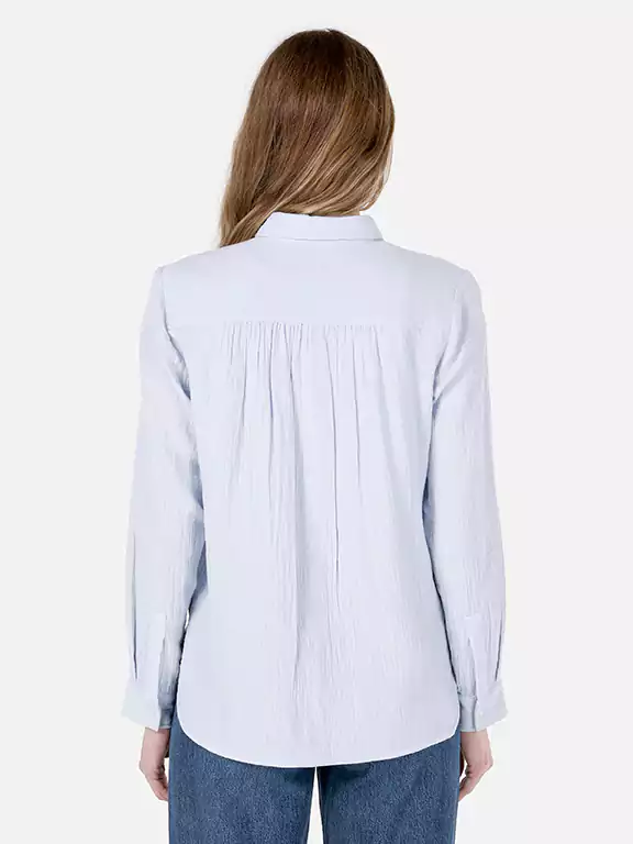 COLIN'S SHIRT LONG SLEEVES CL1068243