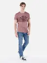 COLIN'S T-SHIRT SHORT SLEEVES CL1066751