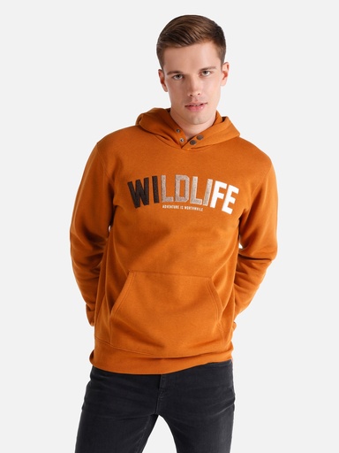 COLIN'S SWT SHIRT CL1064827