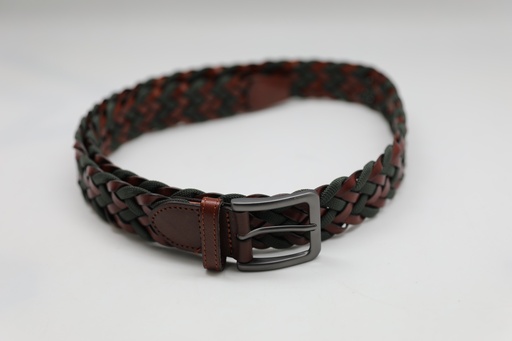 F.M. BELT KS2023-310